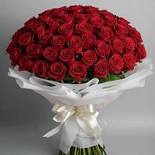 Букет 101 Красная роза Блэк Мэджик в Кольчугино