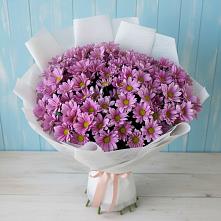 Букет цветов из:  Хризантемы в Кольчугино