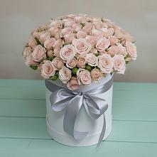 Цветочная композиция из Розы в шляпной коробке #REPLACE_PRED# Кольчугино