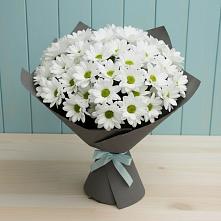 Букет цветов из:  Хризантемы в Кольчугино