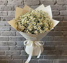 Букет цветов из:  Ромашки в Кольчугино