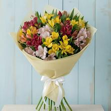 Букет цветов из:  Альстромерии #REPLACE_PRED# Кольчугино