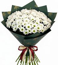 Букет цветов из:  Хризантемы в Кольчугино