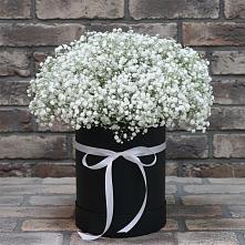 Цветочная композиция из Гипсофила в шляпной коробке в Кольчугино