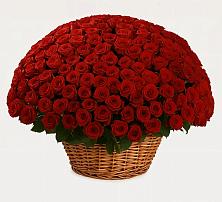 Премиум букет из: Розы в Кольчугино