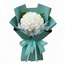 Букет цветов из:  Гортензия в Кольчугино